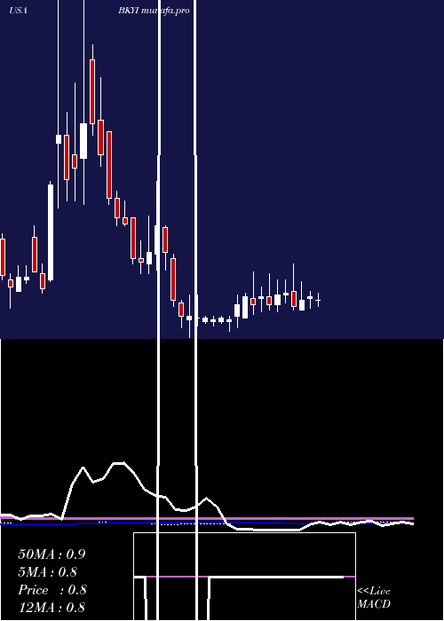 weekly chart BioKey