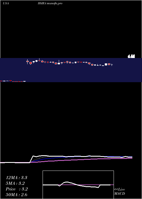  Daily chart BiomericaInc