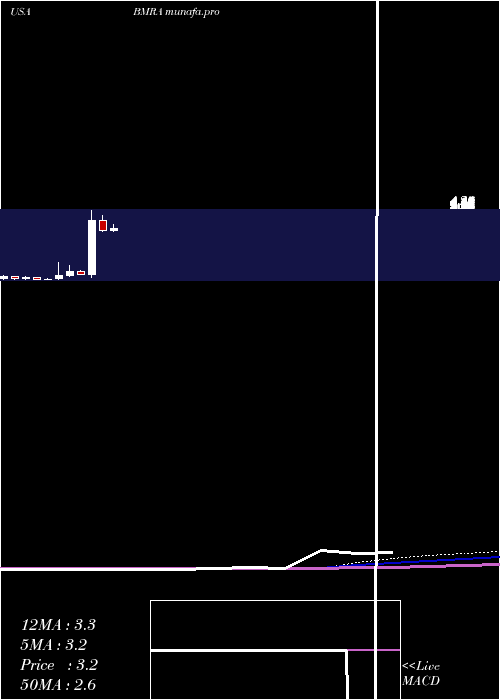 monthly chart BiomericaInc