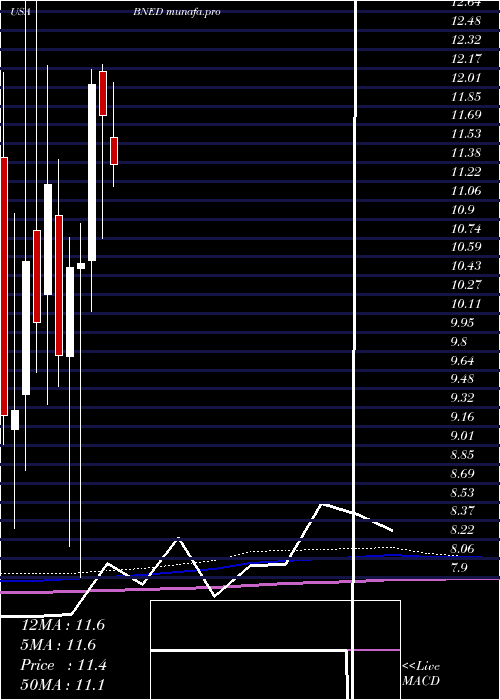 monthly chart BarnesNoble