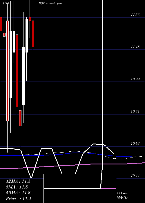  monthly chart BlackrockGlobal