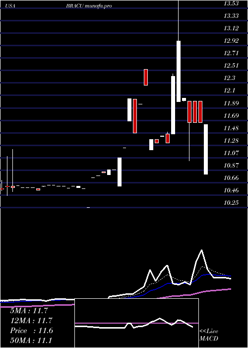  Daily chart BlackRidge