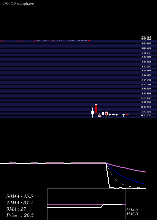 Daily chart CaiInternational