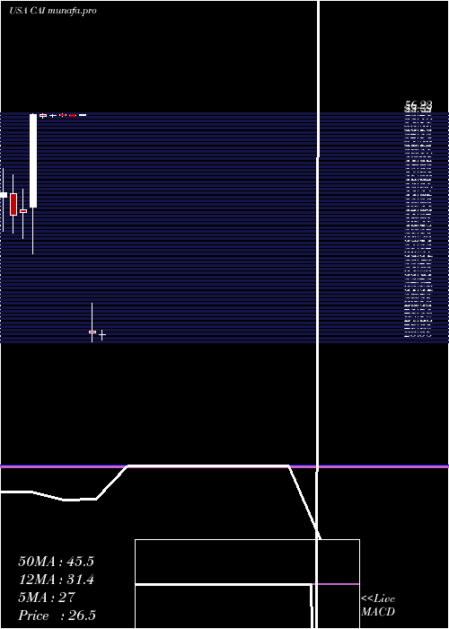 monthly chart CaiInternational