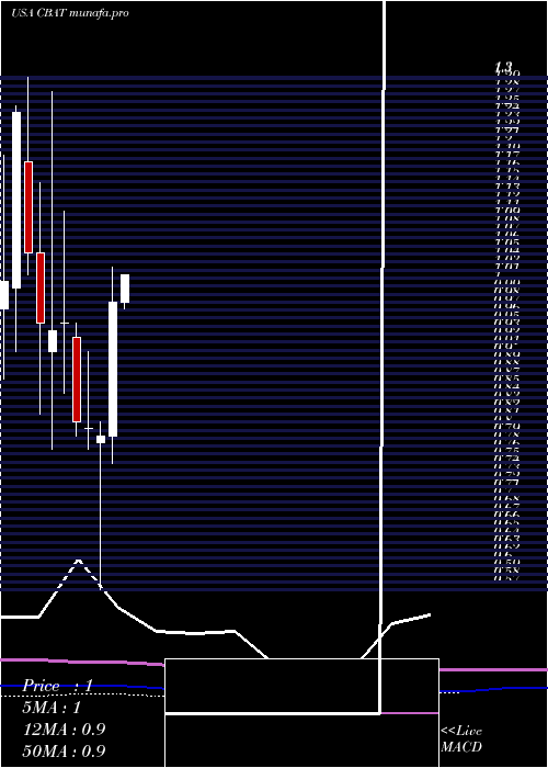  monthly chart CbakEnergy