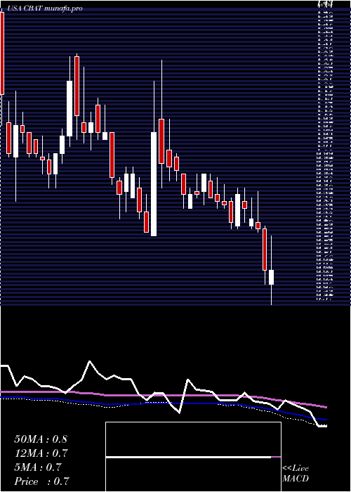  weekly chart CbakEnergy