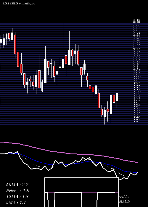  Daily chart CibusCorp