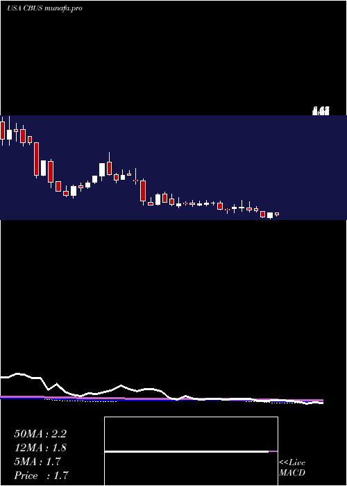  weekly chart CibusCorp