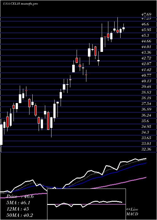 Daily chart CelsiusHoldings