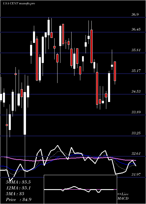  Daily chart CentralGarden