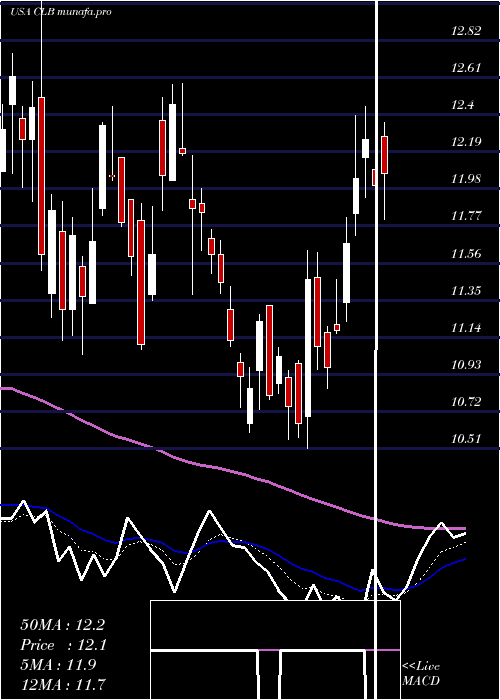 Daily chart CoreLaboratories