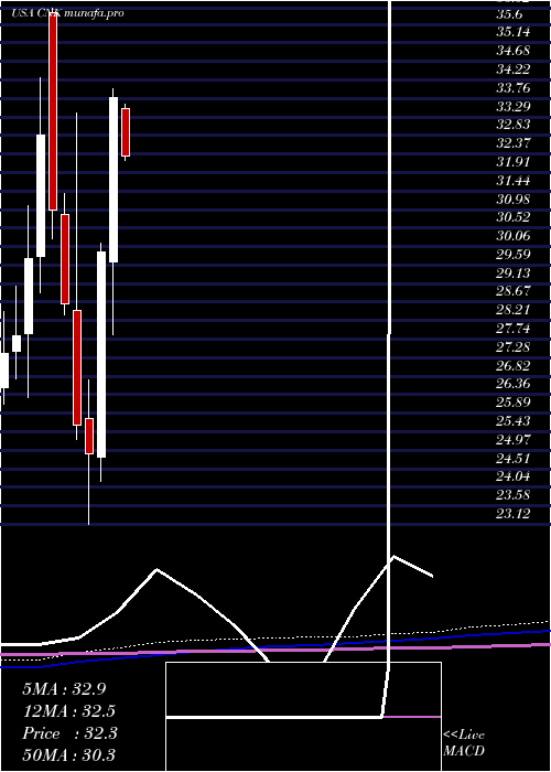 monthly chart CinemarkHoldings