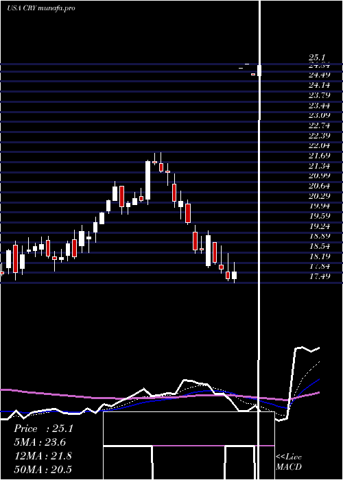  Daily chart CryolifeInc