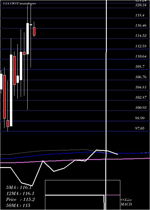 monthly chart CasellaWaste