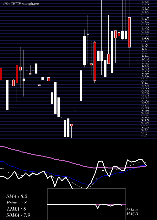  Daily chart CyclacelPharmaceuticals