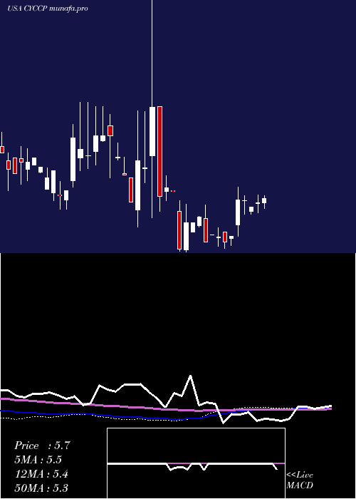 weekly chart CyclacelPharmaceuticals
