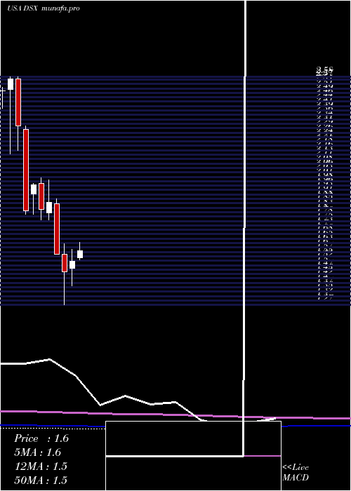 monthly chart DianaShipping