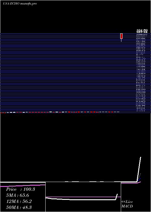  Daily chart EchoGlobal