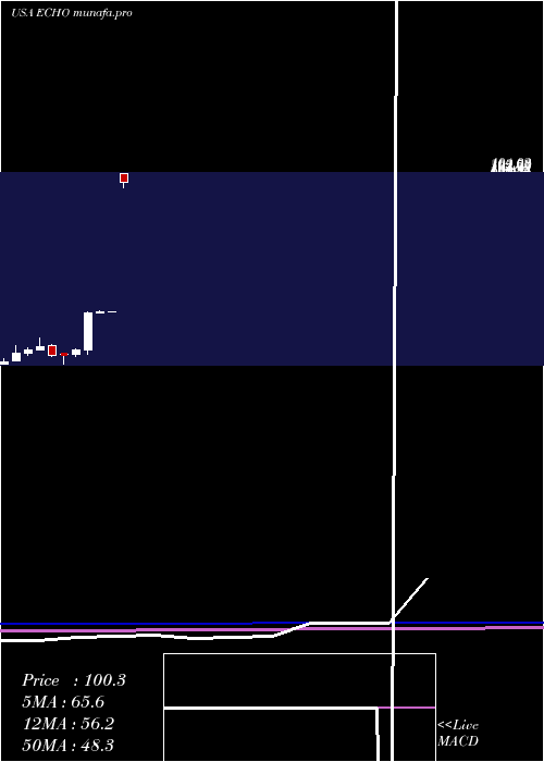  monthly chart EchoGlobal