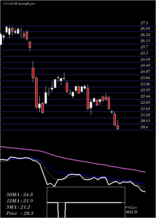  Daily chart EnergizerHoldings