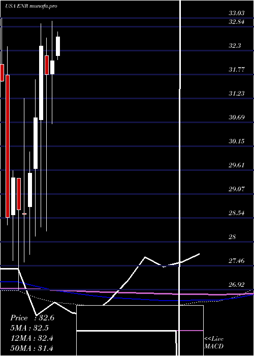  monthly chart EnergizerHoldings