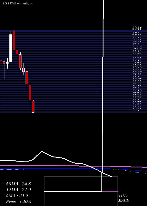 monthly chart EnergizerHoldings