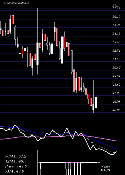  Daily chart ExactSciences