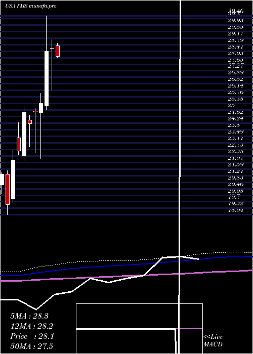 monthly chart FreseniusMedical