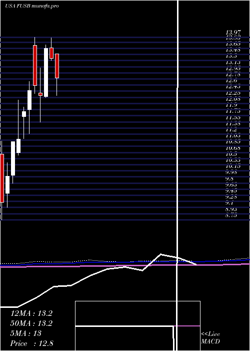  monthly chart FirstUs