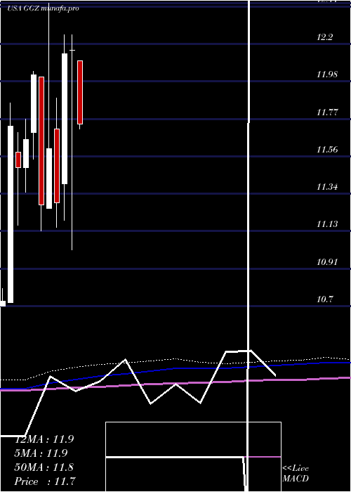  monthly chart GabelliGlobal