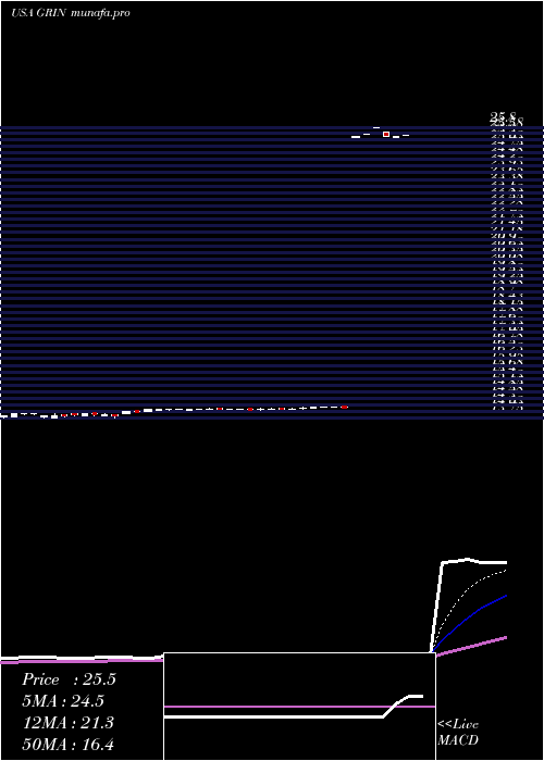 Daily chart GrindrodShipping
