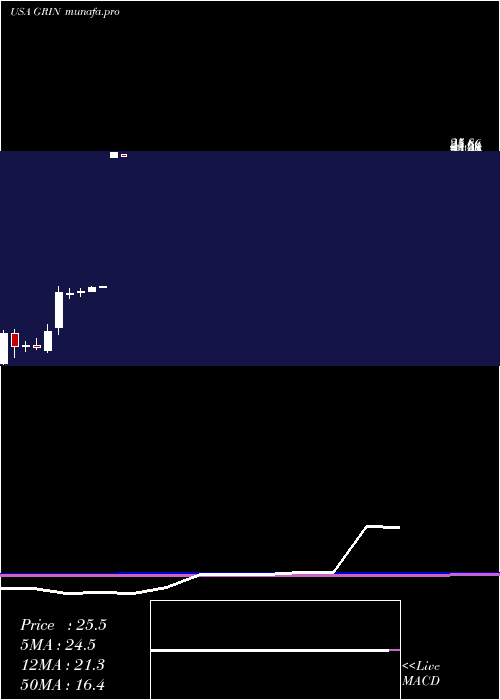 monthly chart GrindrodShipping