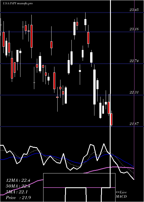 Daily chart Infosys