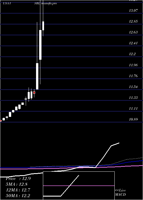 monthly chart IsramcoInc