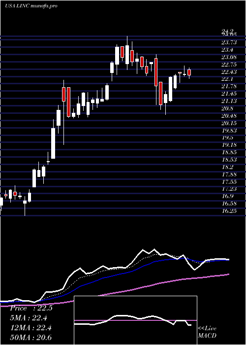 Daily chart LincolnEducational