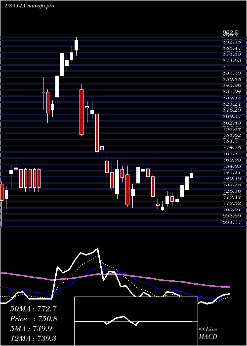  Daily chart EliLilly