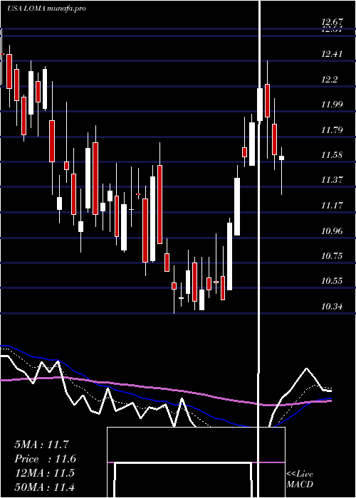 Daily chart LomaNegra