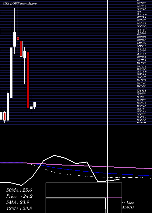 monthly chart LiquidityServices
