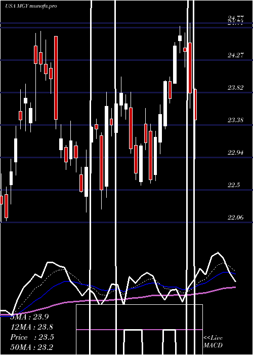 Daily chart MagnoliaOil