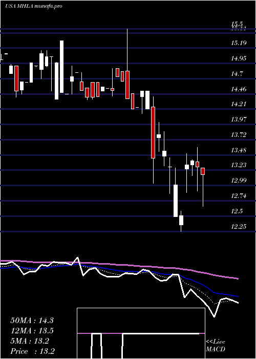  Daily chart MaidenHoldings