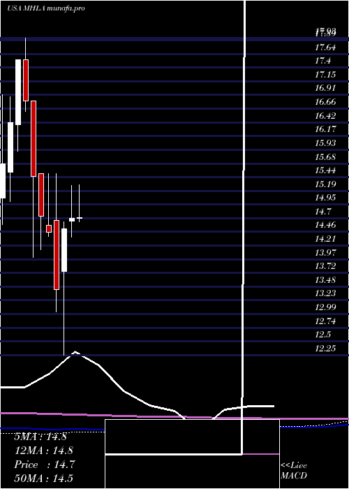 monthly chart MaidenHoldings