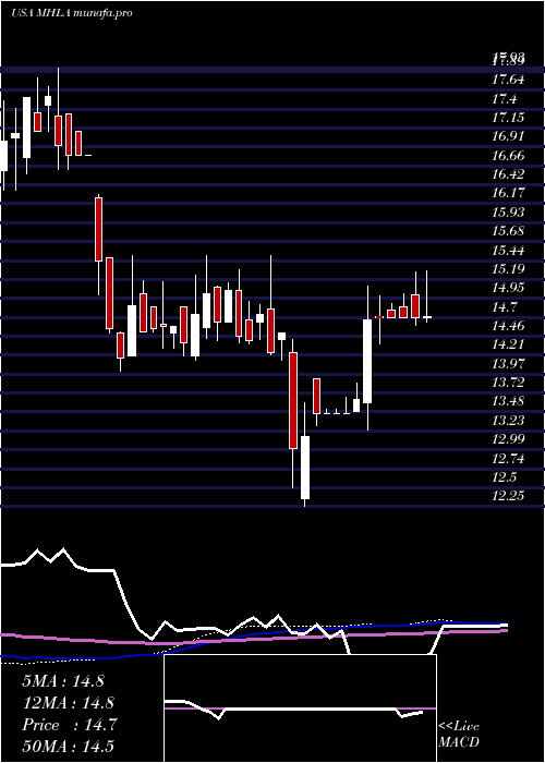weekly chart MaidenHoldings
