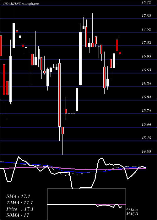 weekly chart MaidenHoldings