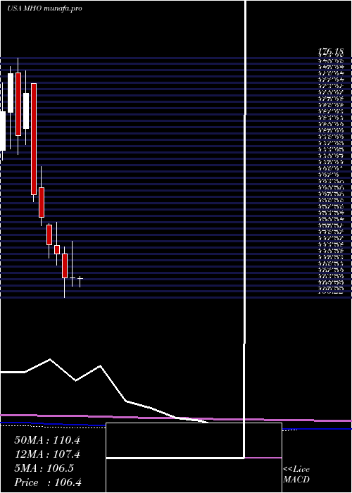 monthly chart MI