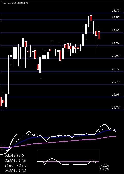  Daily chart BaringsParticipation