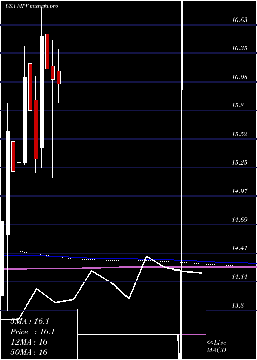  monthly chart BaringsParticipation