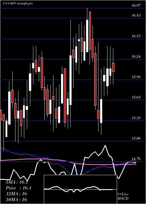  weekly chart BaringsParticipation