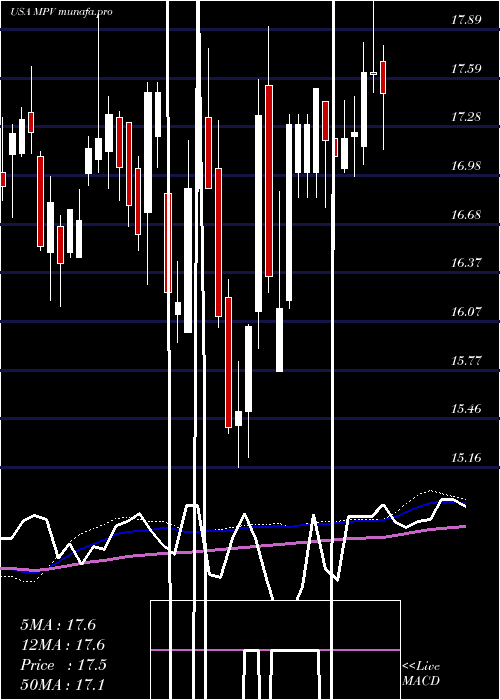 weekly chart BaringsParticipation