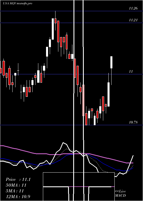  Daily chart BlackrockMuniyield