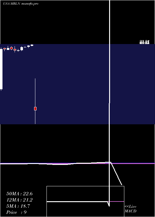  monthly chart MarlinBusiness